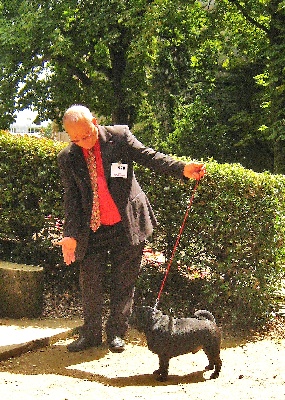 du Mas Black Jack for Ever - NATIONALE DU PUY EN VELAY